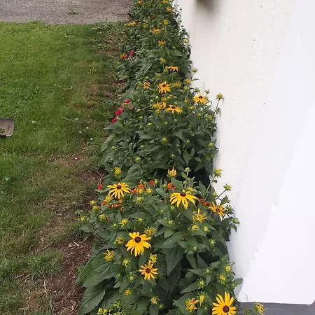 בית חווה Russbachbauer Saint Wolfgang