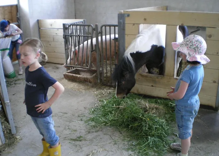 Russbachbauer Gospodarstwo agroturystyczne *