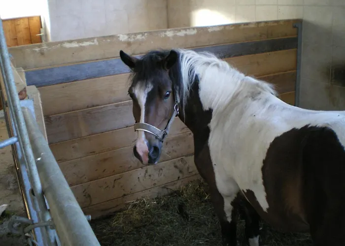 Russbachbauer * Saint Wolfgang