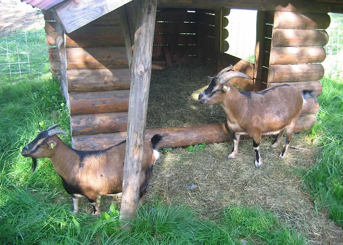 Russbachbauer Lantgård Saint Wolfgang