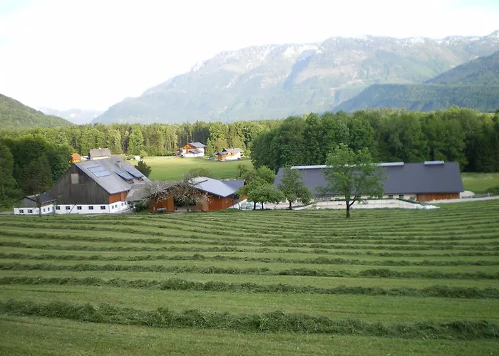 Gospodarstwo agroturystyczne Russbachbauer *