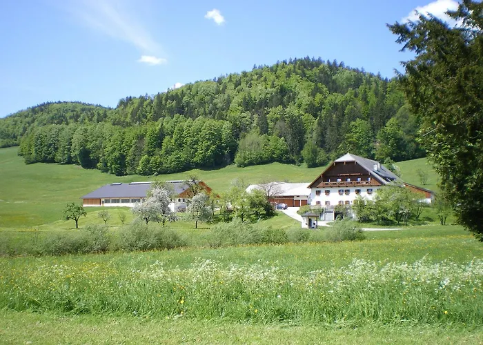 Russbachbauer Gospodarstwo agroturystyczne