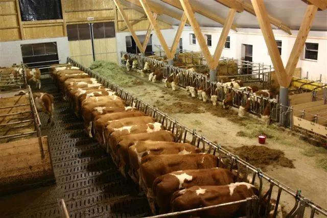 Russbachbauer Gospodarstwo agroturystyczne Saint Wolfgang