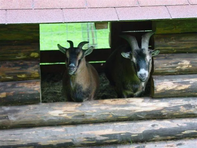 Lantgård Russbachbauer *