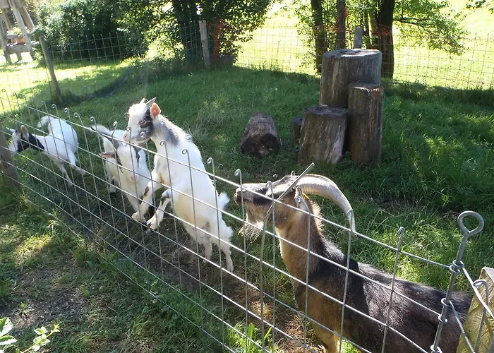 Gospodarstwo agroturystyczne Russbachbauer *