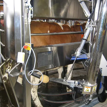 Çiftlik konaklama Russbachbauer *