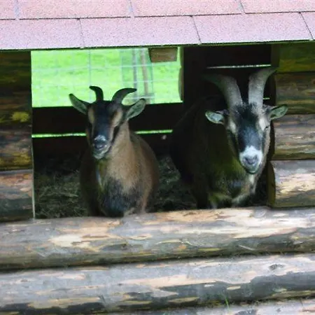 Çiftlik konaklama Russbachbauer *