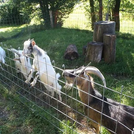 Çiftlik konaklama Russbachbauer *