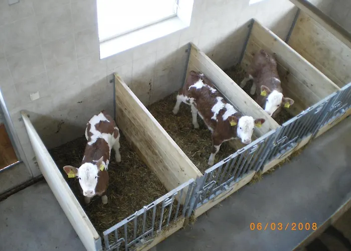 Russbachbauer בית חווה Saint Wolfgang