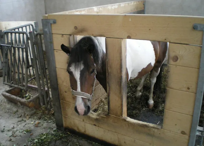 Russbachbauer Saint Wolfgang