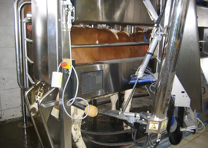 בית חווה Russbachbauer *