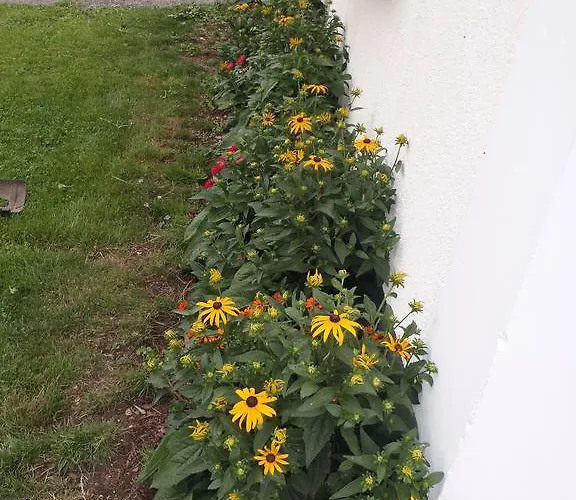 בית חווה Russbachbauer Saint Wolfgang